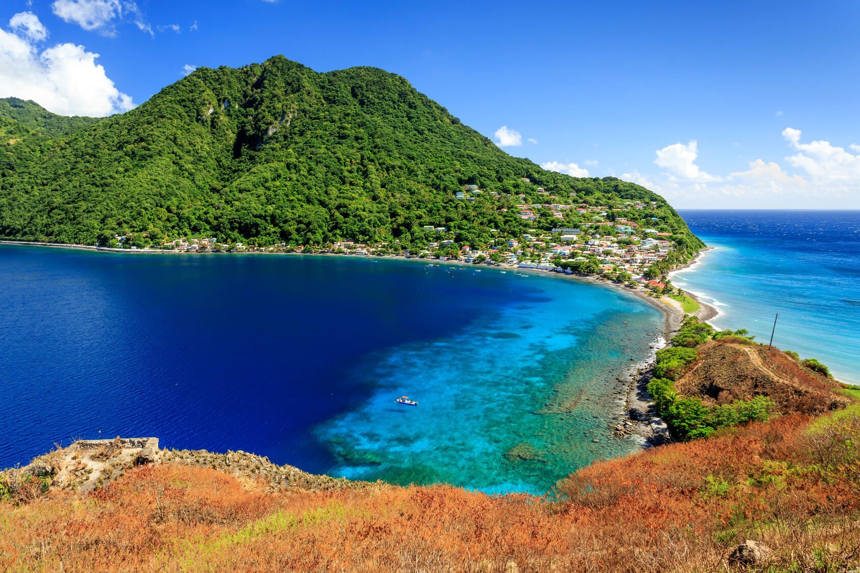 Dominica Insel : Dschungel Auf Der Insel Dominica In Der Karibik ...